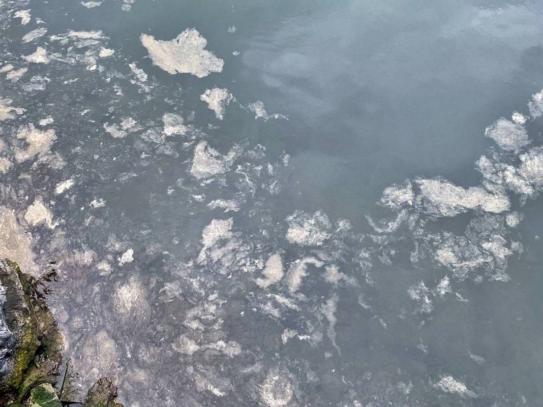 İstanbul'un o ilçesinde müsilaj oluşmaya başladı! Korkutan manzara geri döndü 10